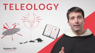 Teleology Aquinas 101 [upl. by Samale]