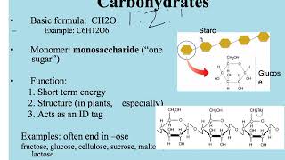 Macromolecules [upl. by Gilberto]