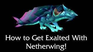 How to Get Exalted With Netherwing  World of Warcraft Guide [upl. by Skylar]