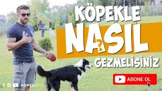 Köpekle Nasıl Gezinti Yapmalısınız [upl. by Garmaise]