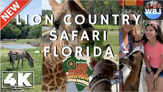 LION COUNTRY SAFARI IN WEST PALM BEACH FLORIDA  4K VIDEO [upl. by Aubrey]