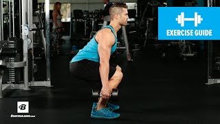 How to Dumbbell Squat  Mike Hildebrandt [upl. by Alodie521]