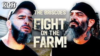 The Briscoes Fight on the Farm in FULL [upl. by Haisej]