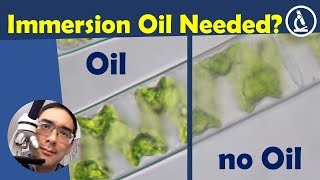 🔬 How important is IMMERSION OIL for microscopy [upl. by Akemot510]