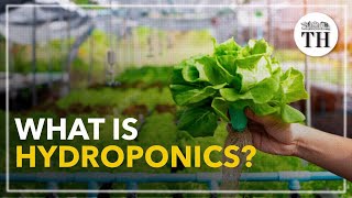 All about Hydroponics [upl. by Zalucki]