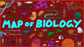 Map of Biology [upl. by Cullen]