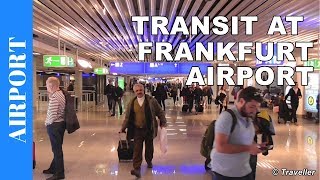 TRANSIT WALK AT FRANKFURT Airport FRA Terminal 1  Connection Flight Transfer Arriving amp Departing [upl. by Philipa]