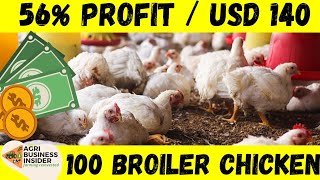 100 Broilers Chicken Cost amp Profit Analysis  Broiler Chicken Financial Business Plan [upl. by Dotson]