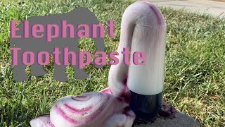 Elephant Toothpaste Experiment made easy [upl. by Ajay]