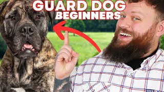 The Best GUARD DOG BREEDS FOR FIRST TIME OWNERS [upl. by Fisuoy]