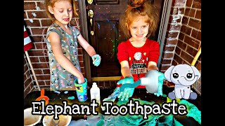 Elephant Toothpaste  Easy DIY Science Experiment for kids [upl. by Relyks]