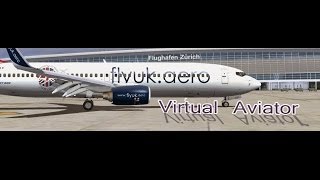 FSUIPC Assign Reverse Thrust [upl. by Werdnaed]