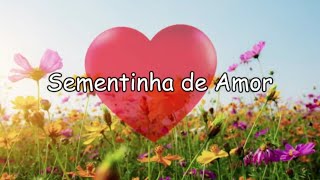 MÚSICA ESPÍRITA INFANTIL  Sementinha de Amor [upl. by Alleuqram]