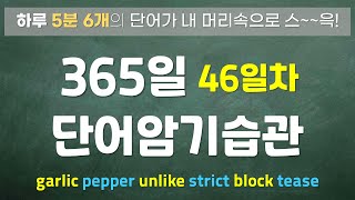 46일차 365일 단어암기습관 [upl. by Hach489]