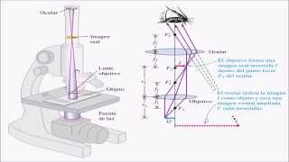 Microscopio y Telescopio [upl. by Nesahc140]