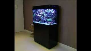 Red Sea MAX 250 ultimate allinone Plug amp Play coral reef aquarium System [upl. by Collin592]