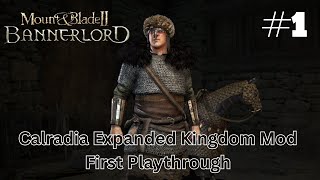 Mount amp Blade II Bannerlord Calradia Expanded Kingdoms Mod First Playthrough Part 1 [upl. by Driskill]