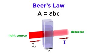 Spectrophotometry and Beers Law [upl. by Kinch965]